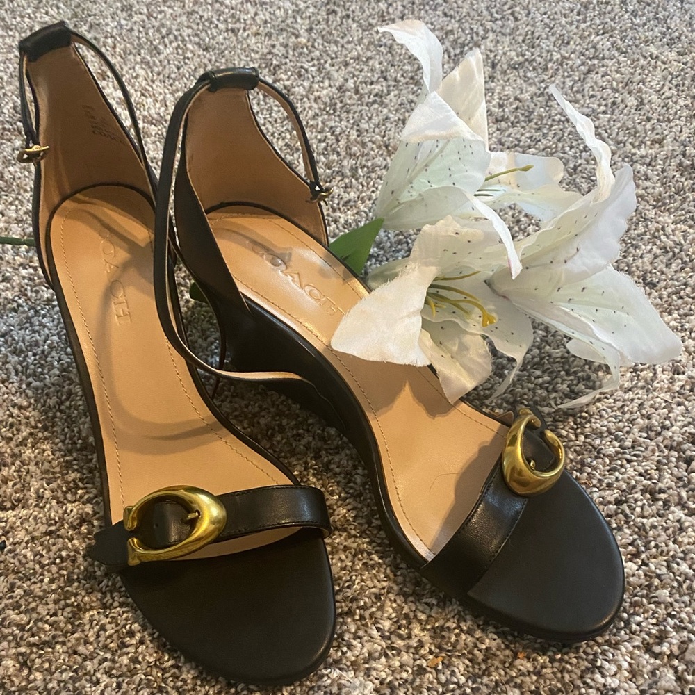 A coach Odetta strap wedge sandal, very old money, classy, and chic.